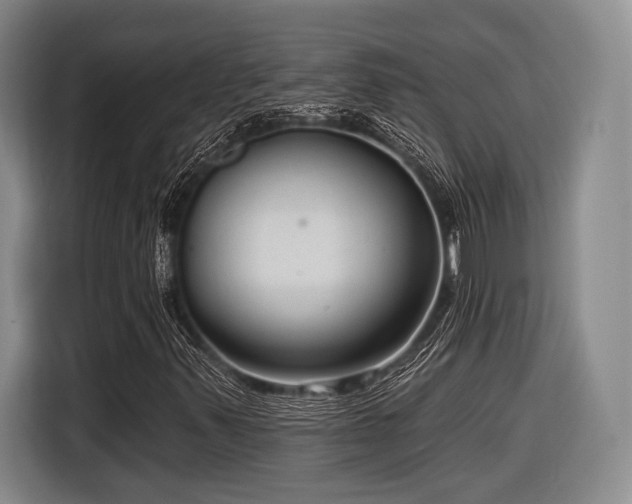 X0000116891347200912221445