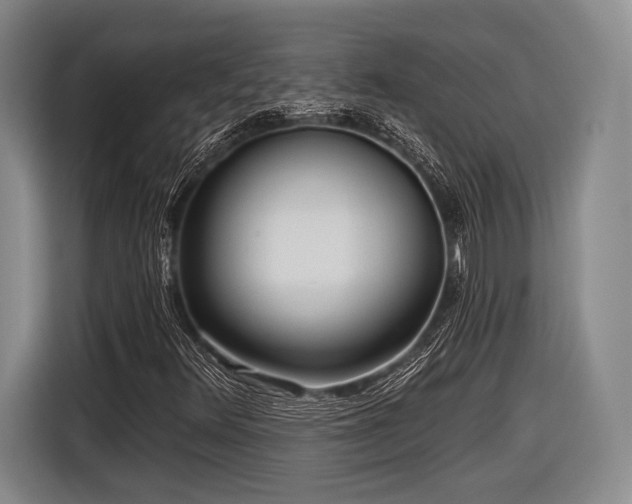 X0000116891348200912221445