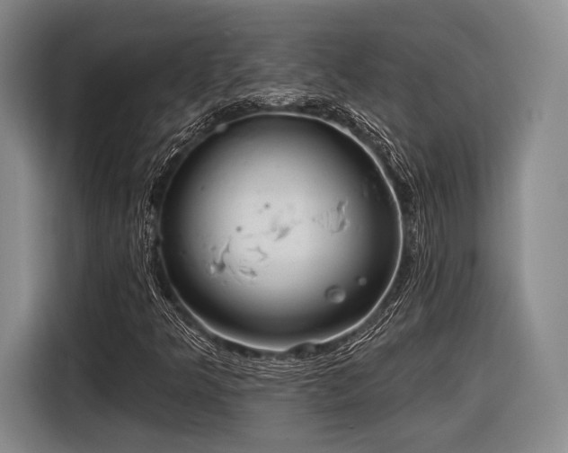X0000116891349200912221445