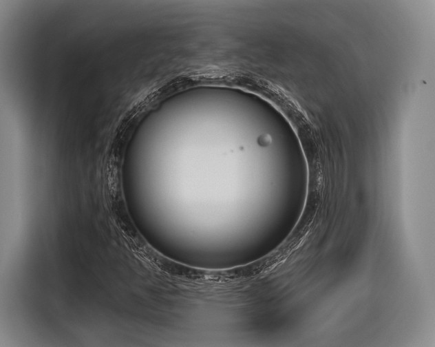 X0000116891350200912221445