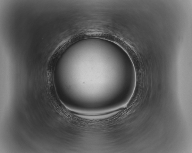 X0000116891351200912221445