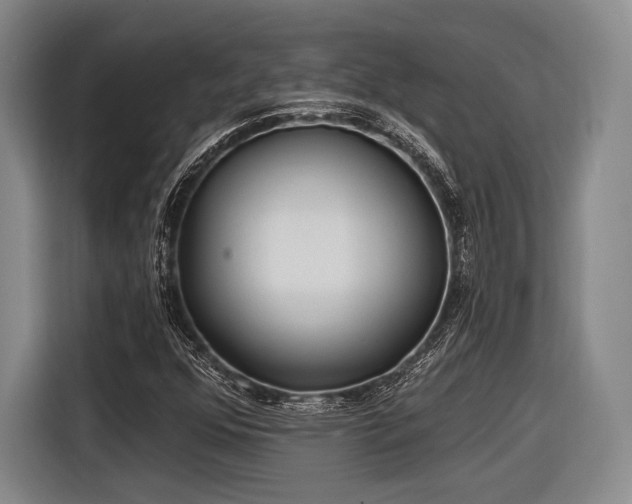 X0000116891352200912221445
