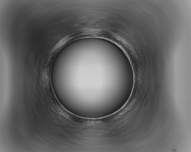 X0000116891354200912221445