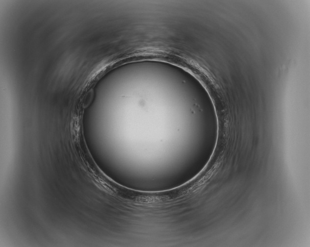X0000116891355200912221445