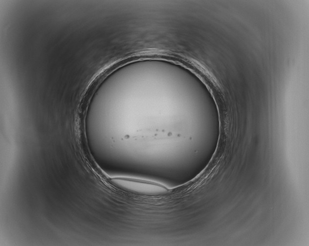 X0000116891356200912221445