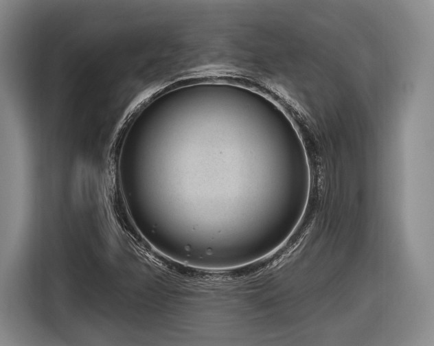 X0000116891358200912221445