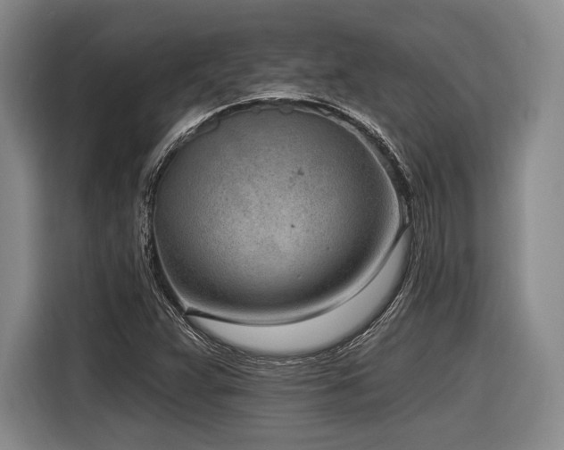 X0000116891359200912221445