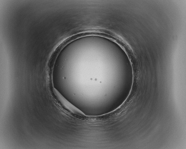 X0000116891360200912221445