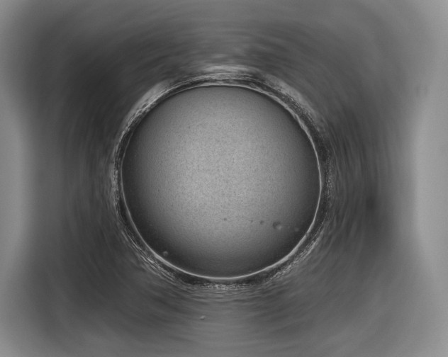 X0000116891362200912221445