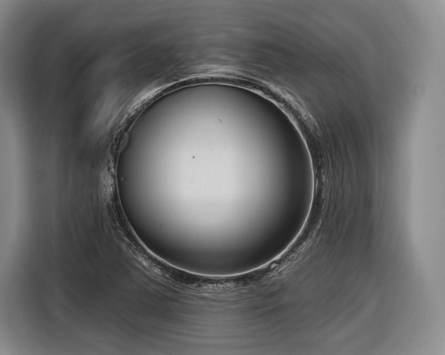 X0000116891363200912221445