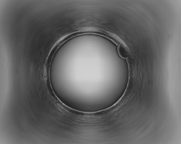 X0000116891364200912221445