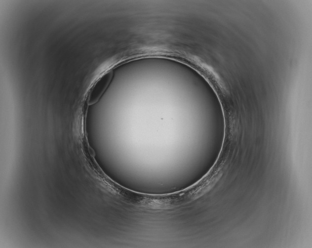 X0000116891365200912221445