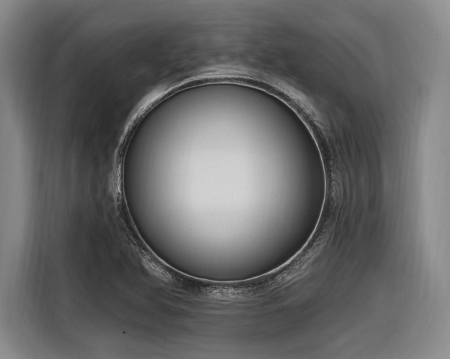 X0000116891366200912221445