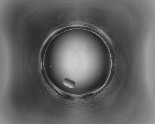 X0000116891368200912221445
