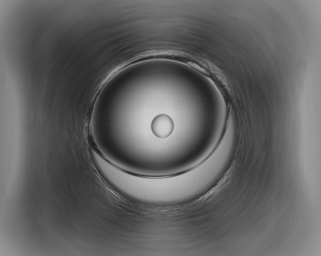 X0000116891369200912221445