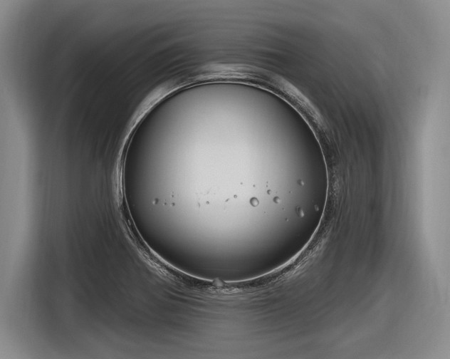 X0000116891370200912221445