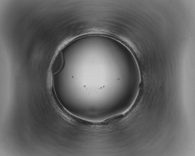 X0000116891371200912221445