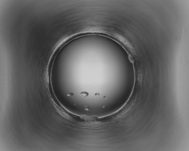 X0000116891372200912221445