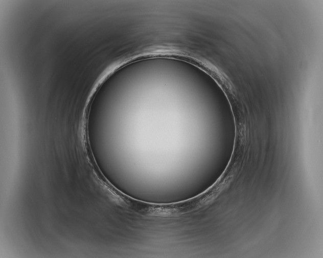 X0000116891374200912221445