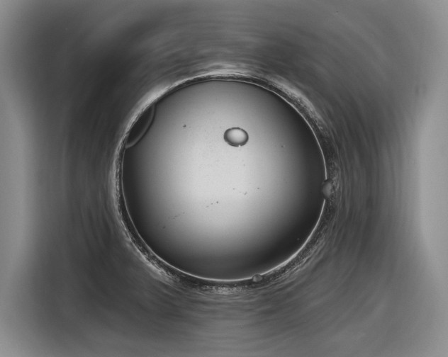 X0000116891375200912221445