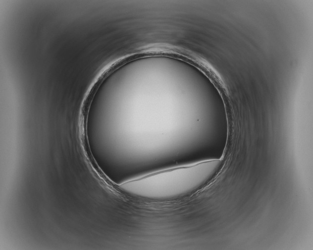 X0000116891376200912221445