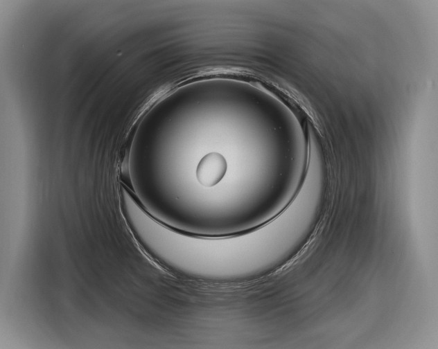 X0000116891377200912221445