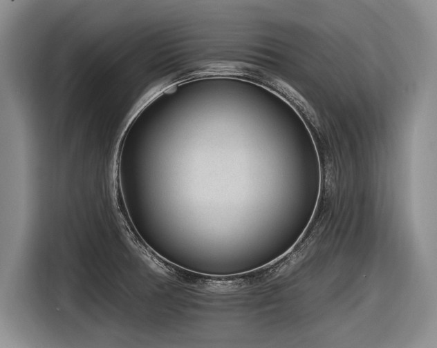 X0000116891378200912221445