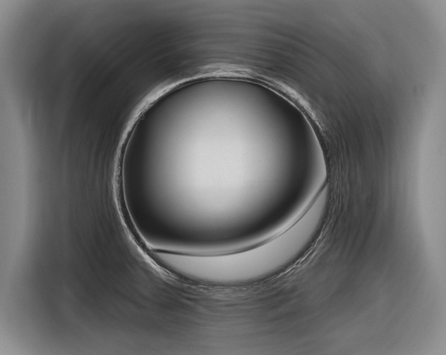 X0000116891379200912221445