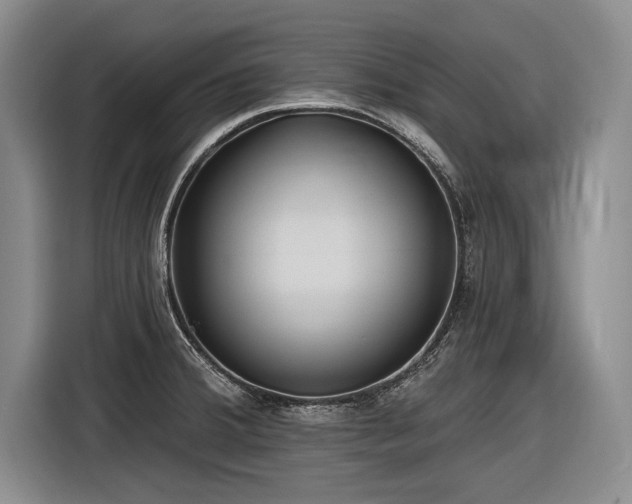 X0000116891380200912221445
