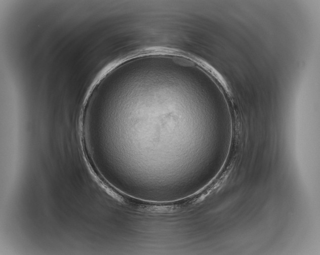 X0000116891381200912221445