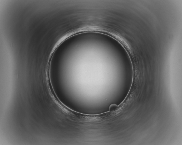 X0000116891382200912221445