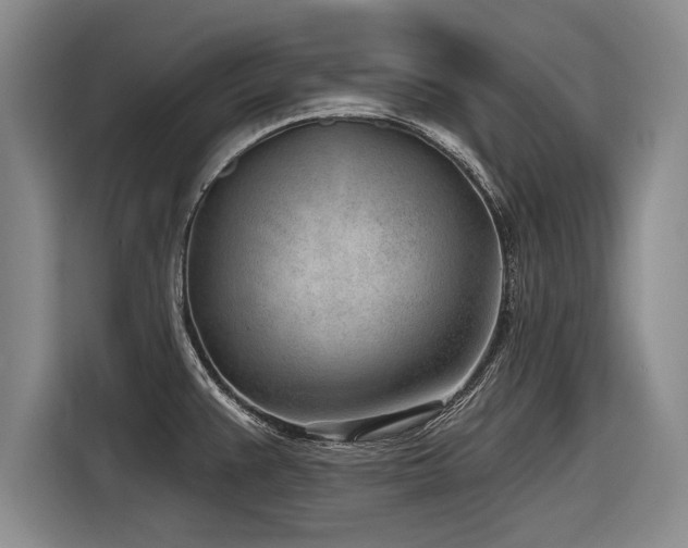 X0000116891383200912221445