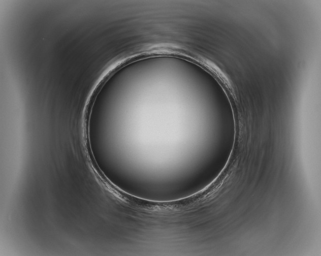 X0000116891384200912221445