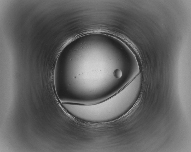 X0000116891385200912221445