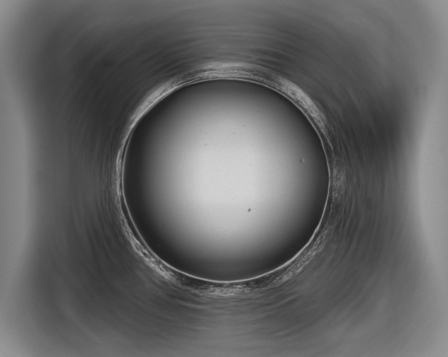 X0000116891386200912221445