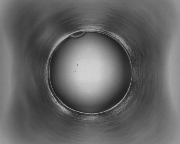 X0000116891387200912221445