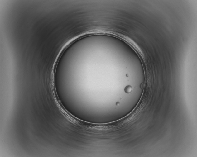 X0000116891388200912221445
