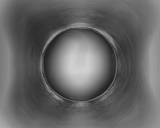 X0000116891390200912221445