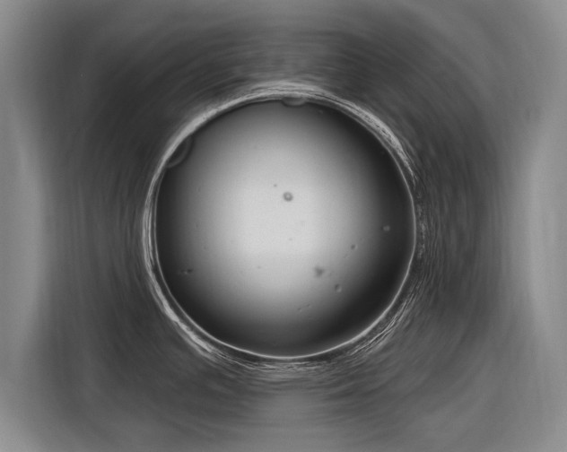 X0000116891391200912221445