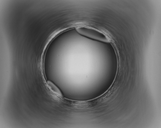X0000116891392200912221445