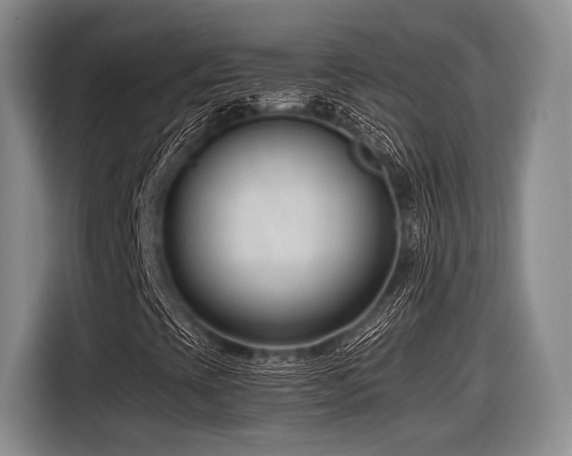 X0000116891393200912221444