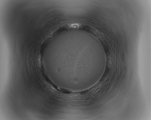 X0000116891394200912221444