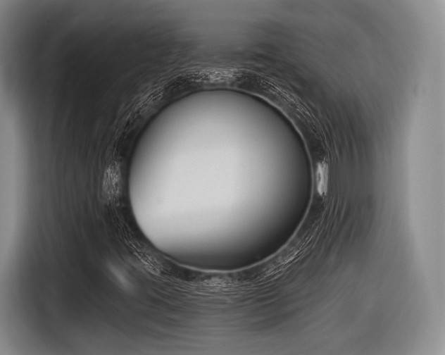 X0000116891395200912221444