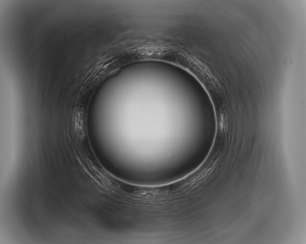 X0000116891396200912221444