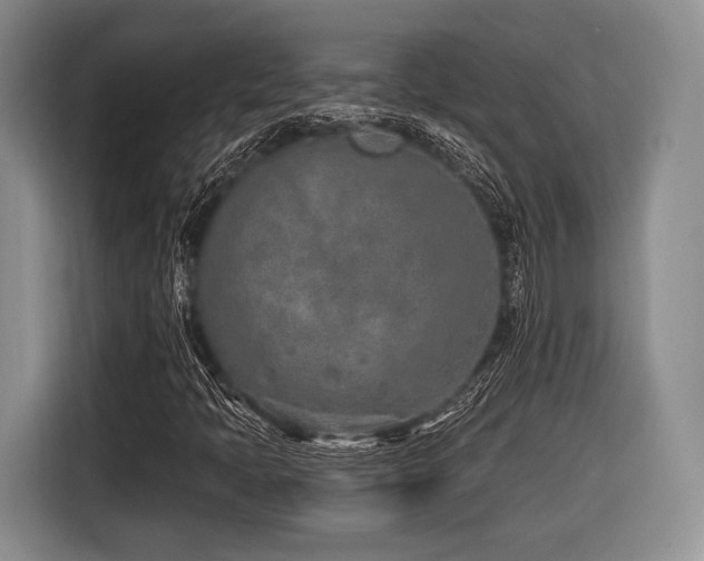 X0000116891397200912221444