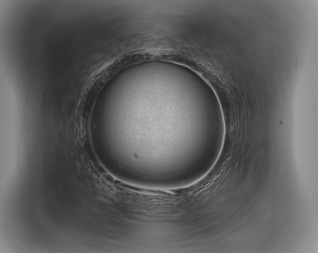 X0000116891398200912221444