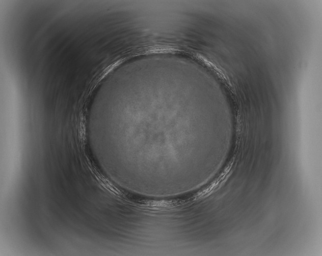 X0000116891401200912221444