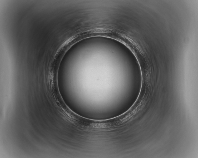 X0000116891402200912221444