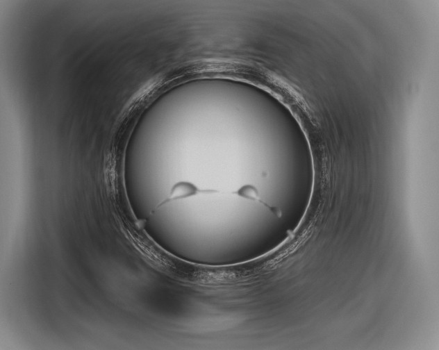 X0000116891403200912221444