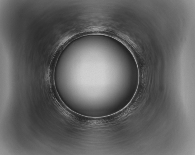 X0000116891404200912221444